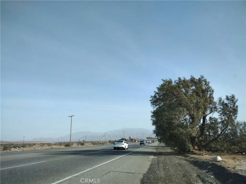 22215 Palm