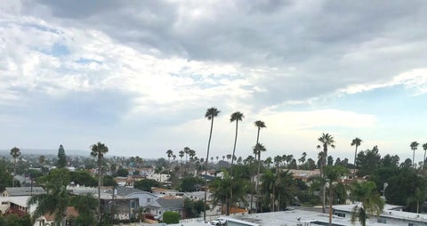 Tiny photo for 4730 Noyes ST #409, San Diego, CA 92109 (MLS # 260023500)