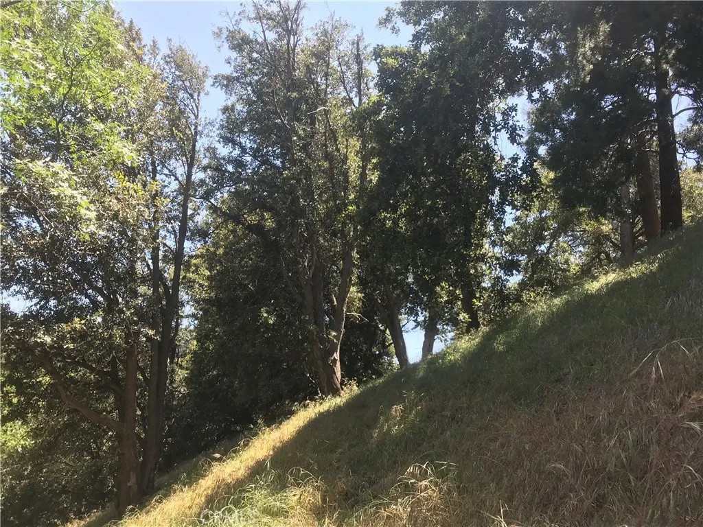 0 Buck