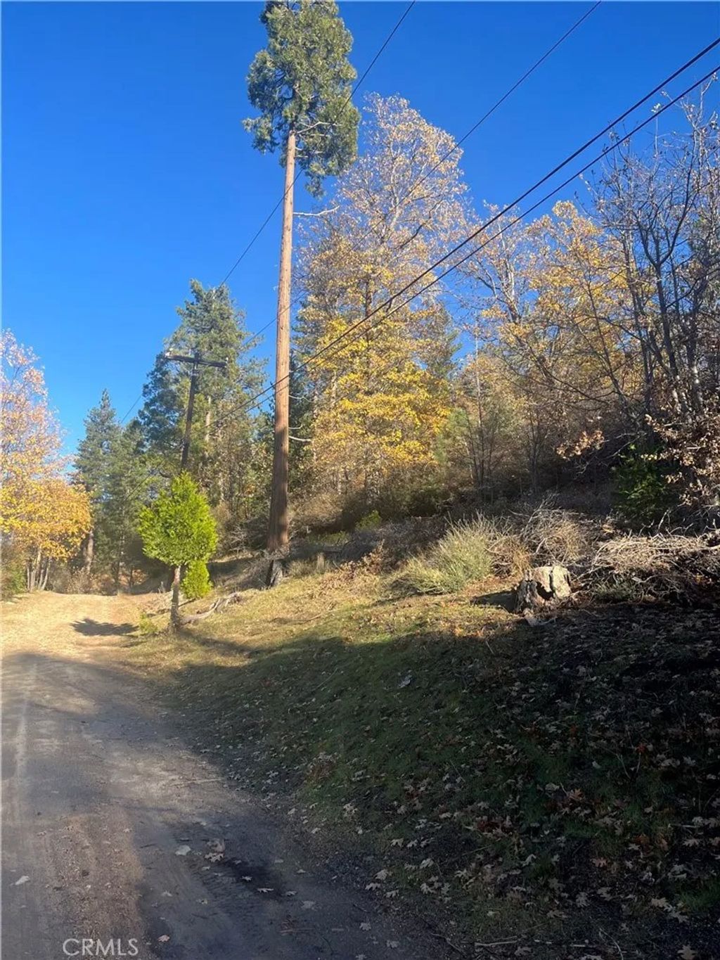 Photo of 29834 Juniper Dr, Cedar Glen, CA 92321 (MLS # IG25266911)