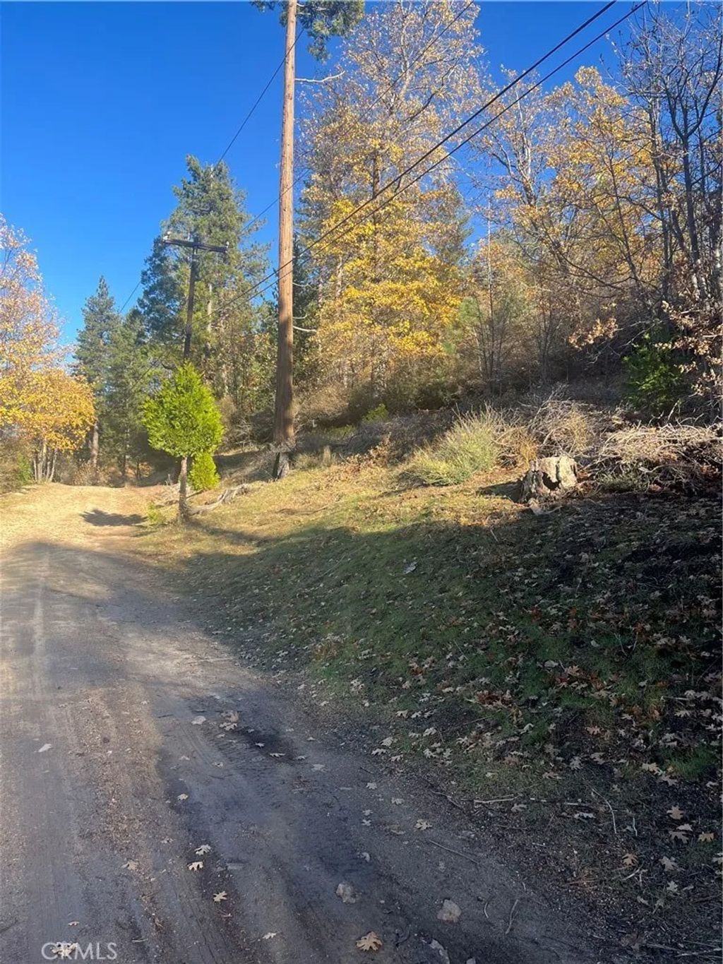 Photo of 29834 Juniper Dr, Cedar Glen, CA 92321 (MLS # IG25266911)