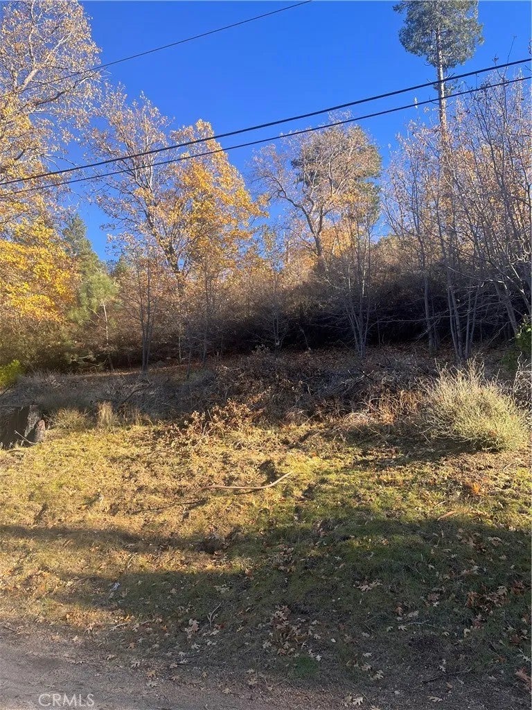 29834 Juniper