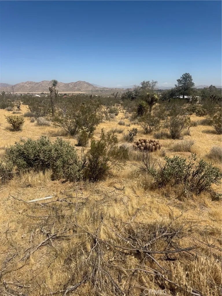 2 Horizon