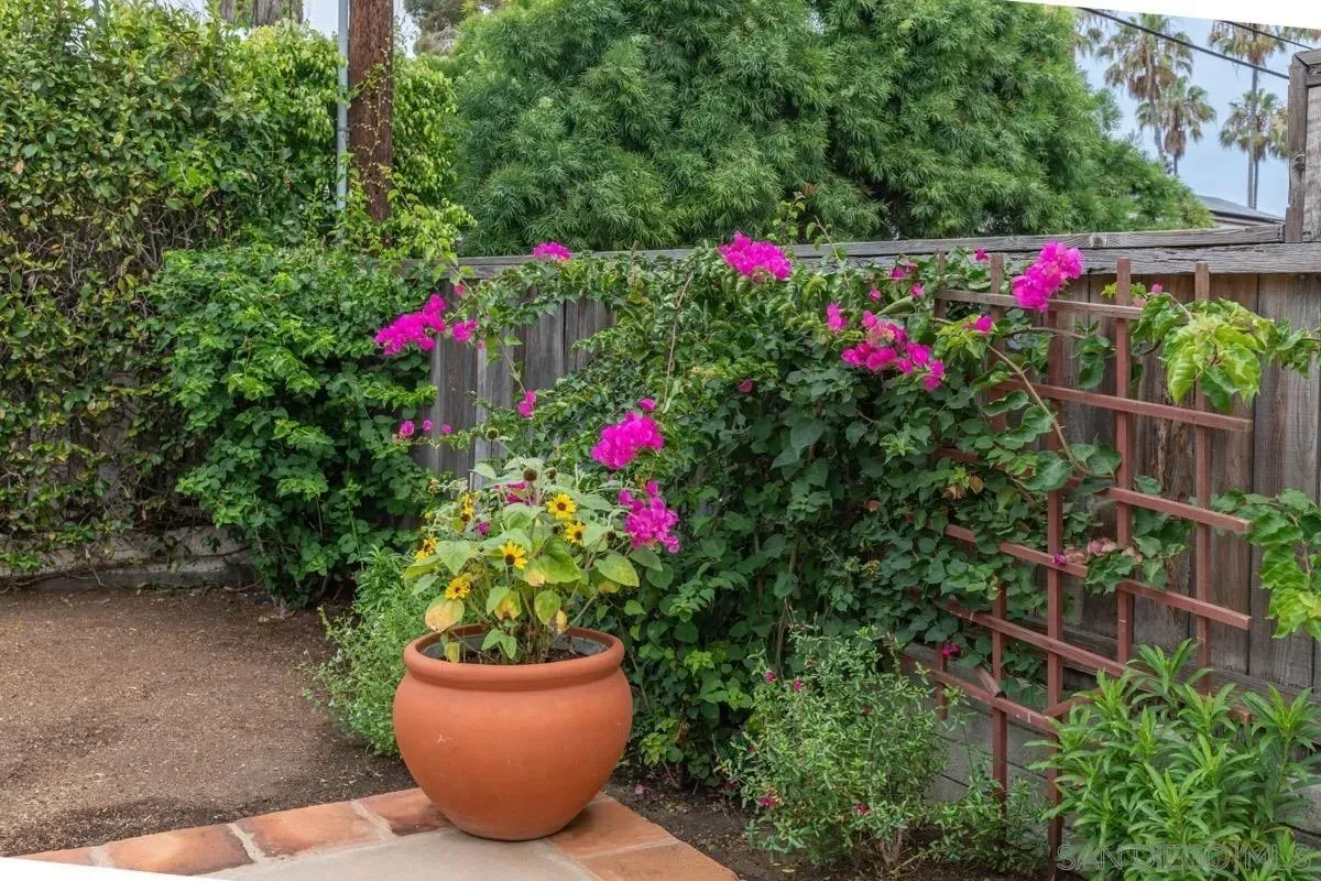 La Jolla, California 92037, United States, 3 Bedrooms Bedrooms, ,3 BathroomsBathrooms,Residential,Active,182943