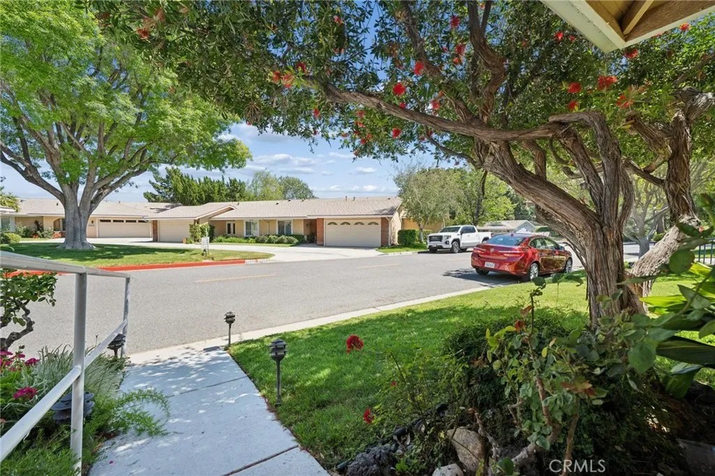 26311 Green Terrace Drive