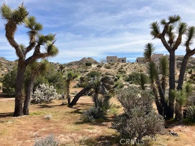 57296 Manzanita