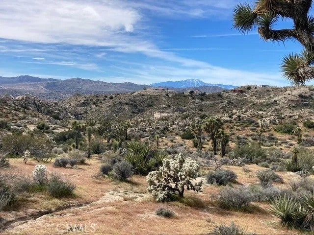 57296 Manzanita