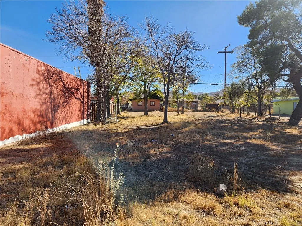 55601 29 Palms