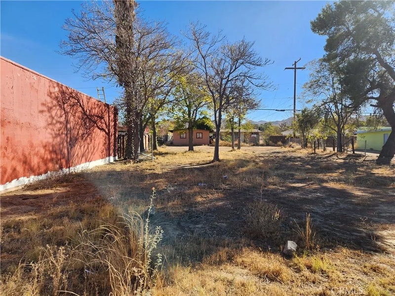 55601 29 Palms