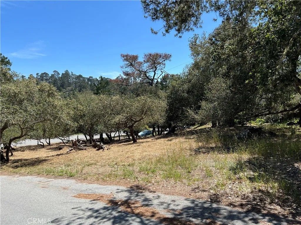 Photo of 0 Pierce, Cambria, CA 93428 (MLS # SC26104468)