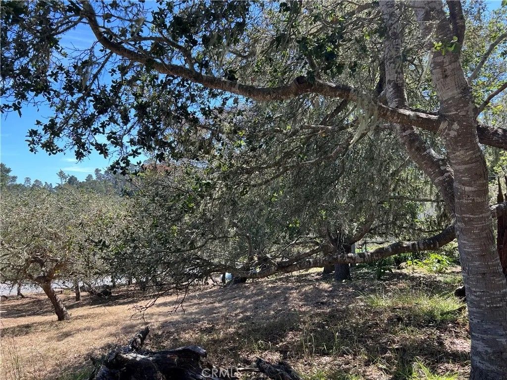 Photo of 0 Pierce, Cambria, CA 93428 (MLS # SC26104468)