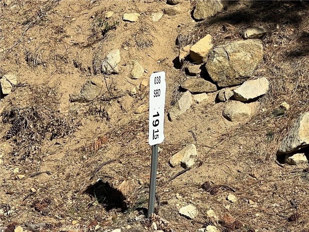 Photo of 0 Ca-38, Angelus Oaks, CA 92305 (MLS # IG26061964)