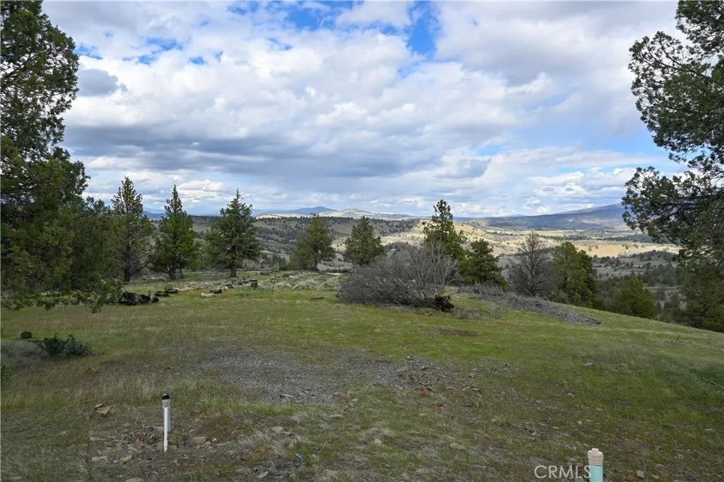 Photo of 0 unit 5 Lot 121 Raven Ct, Montague, CA 96064 (MLS # SN26070678)