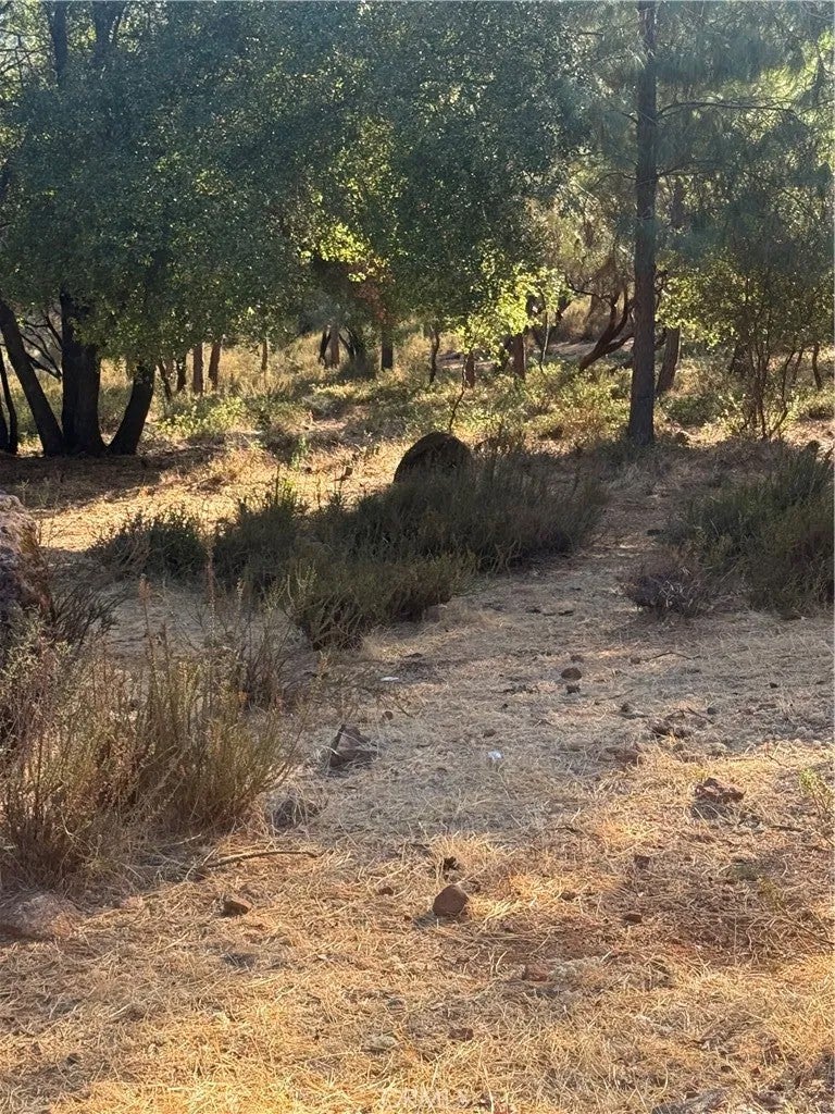 Photo of 16511 Crescent Ct, Hidden Valley Lake, CA 95467 (MLS # LC26210291)