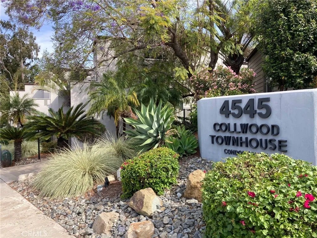4545 Collwood Boulevard 19