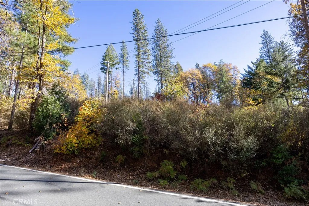 10971 Gifford Springs