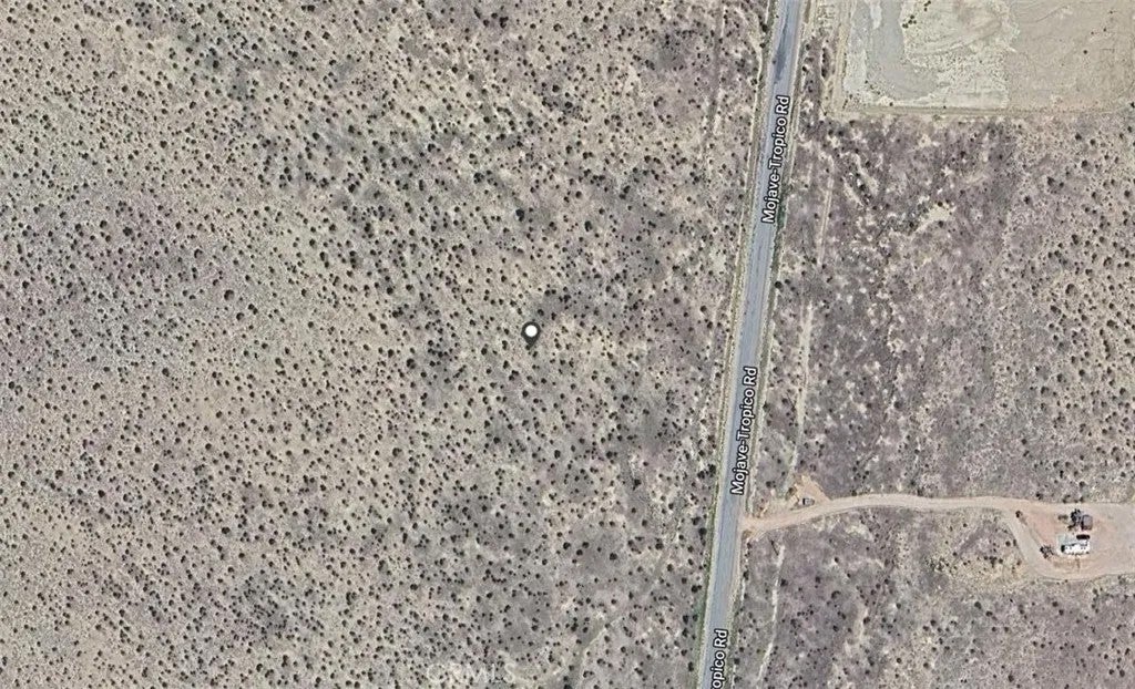 0 Mojave Tropico