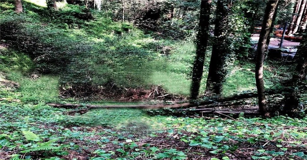 Photo of 18176 Hwy 116, Guerneville, CA 95446 (MLS # PI26007882)