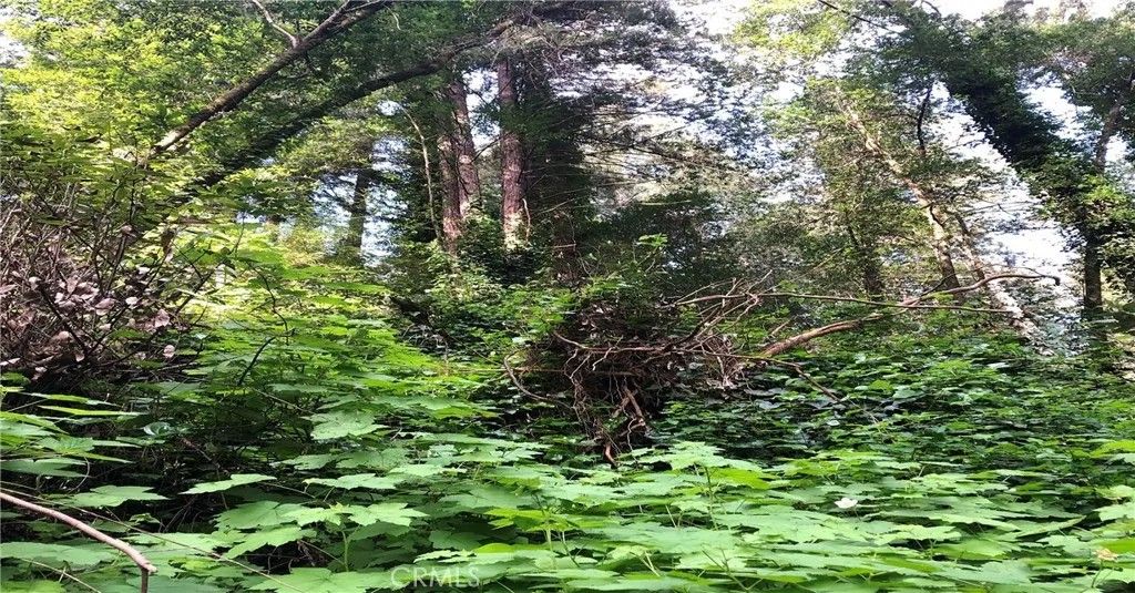 Photo of 18176 Hwy 116, Guerneville, CA 95446 (MLS # PI26007882)