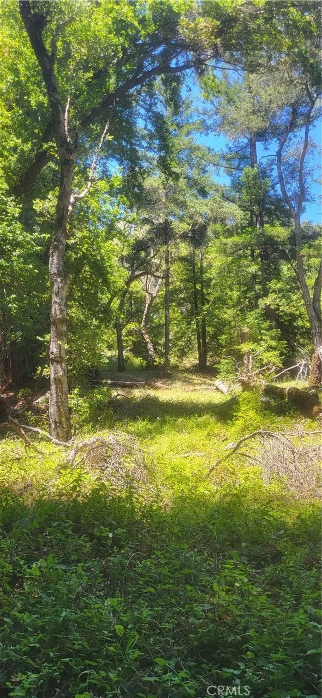 Photo of 0 Palm Cutof, Boulder Creek, CA 95006 (MLS # OC26147107)
