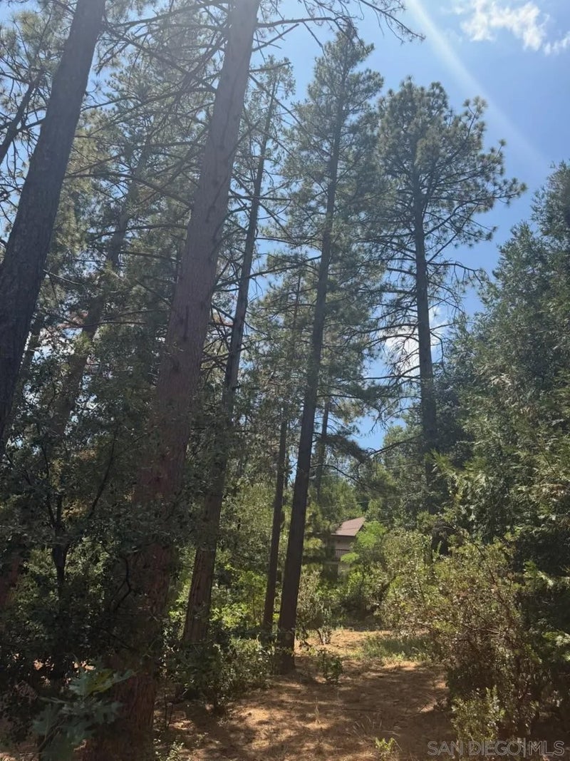 00 Big Pine 0