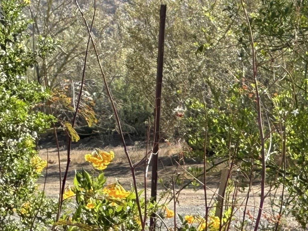 Photo of 0 Great Southern Overland Stage, Julian, CA 92036 (MLS # NDP2606460)