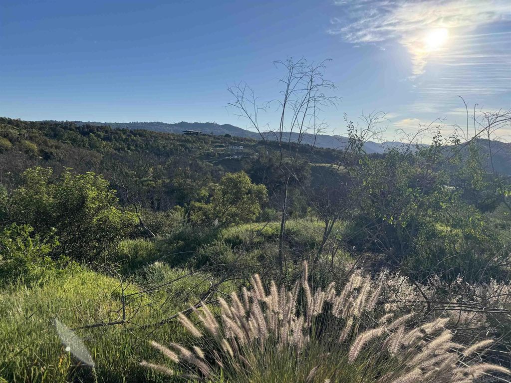 Photo of 30421 Castle Crest, Valley Center, CA 92082 (MLS # 260007424)