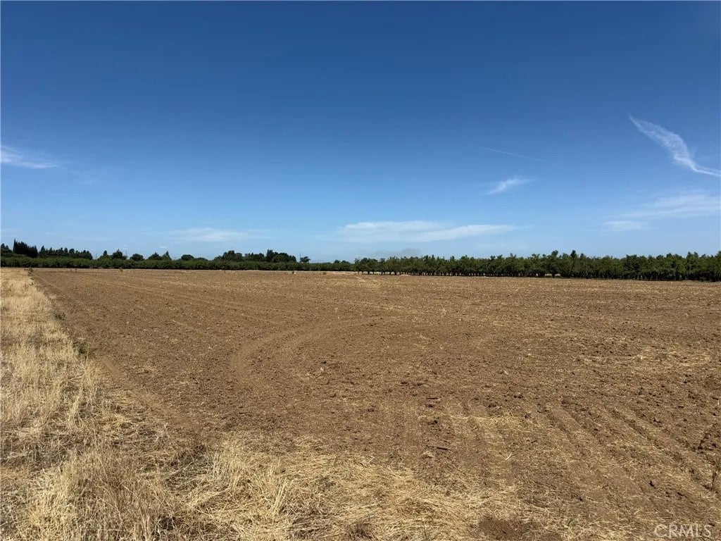 Photo of 0 Jones, Durham, CA 95938 (MLS # SN26145049)