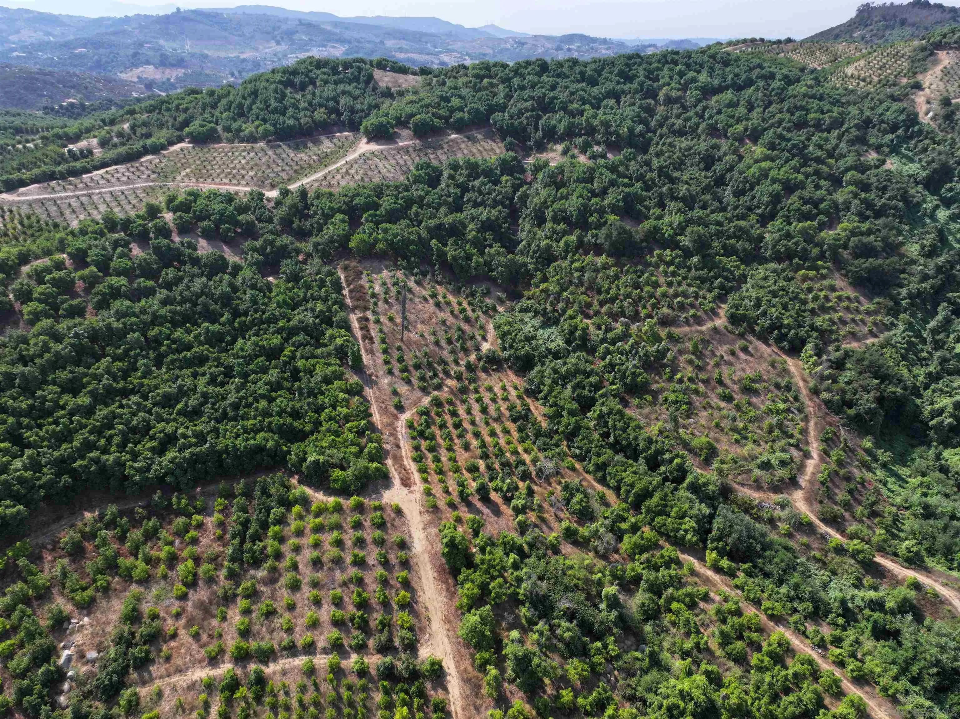 45711 Camaron Road 0