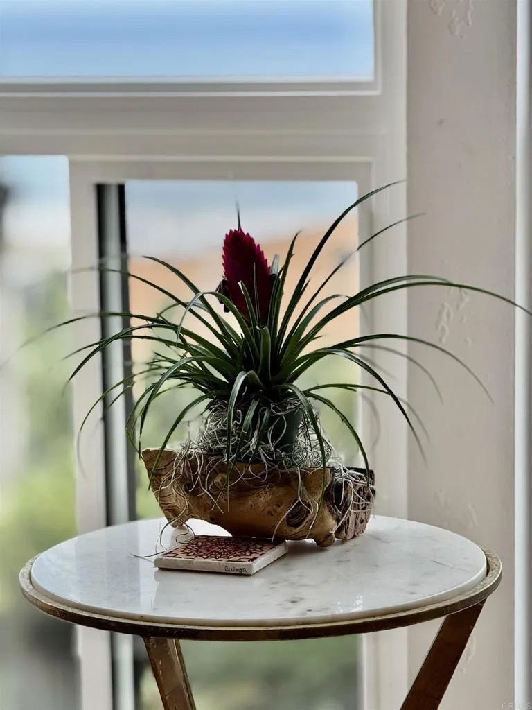 424 Stratford Court A32