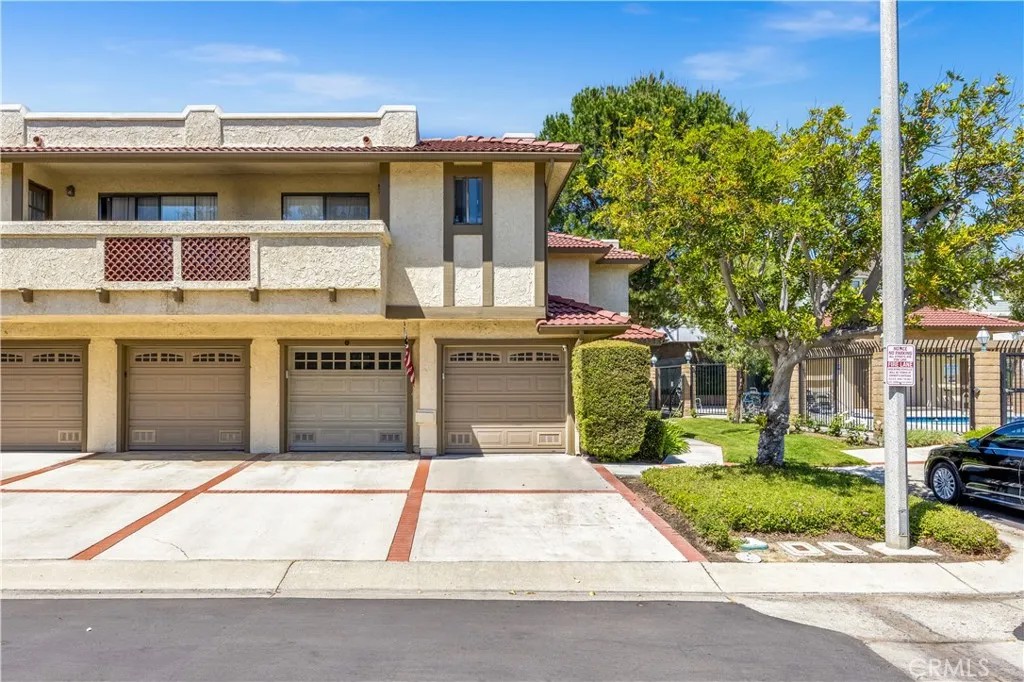 25231 Tanoak
