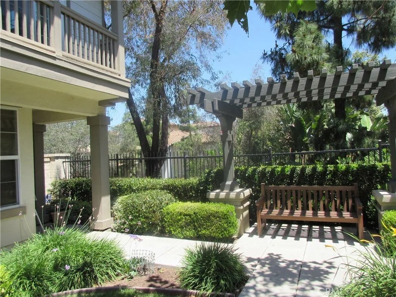 65 Figtree