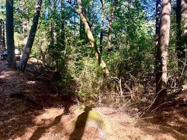 17325 Fernbrook