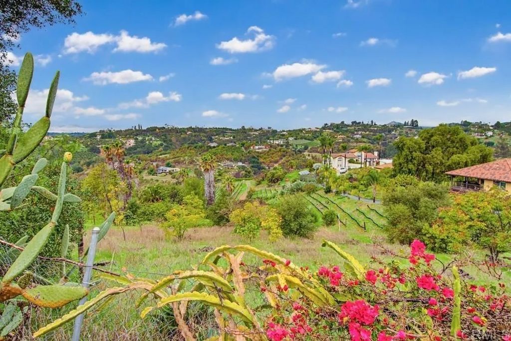 Photo of 3655 Lupine Lane, Fallbrook, CA 92028 (MLS # NDP2604340)