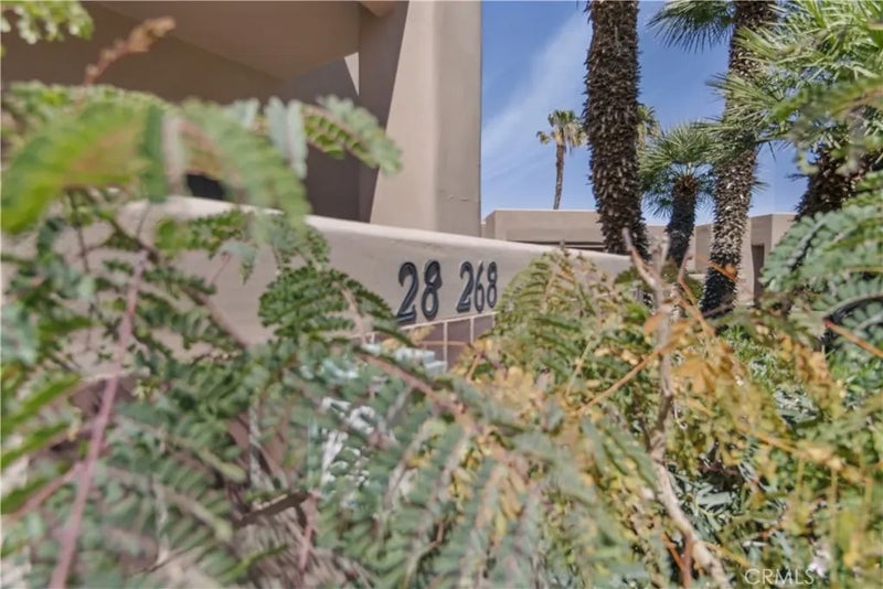 28268 Desert Princess
