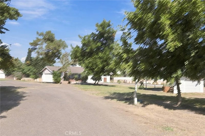 16318 Tamatha Lynn