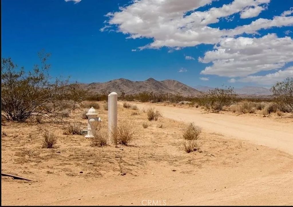 Photo of 61530 Orion Dr, Joshua Tree, CA 92252 (MLS # PW26127170)