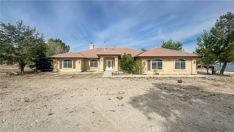 Photo of 11126 Arena Road, Pinon Hills, CA 92372 (MLS # WS25231512)