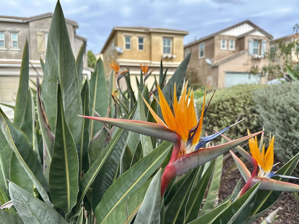 Photo of 1132 Cherry Tree Lane, Vista, CA 92084 (MLS # 260008009)