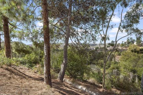 Tiny photo for 1632 Mountain Pass Cir, Vista, CA 92081 (MLS # 250040913)