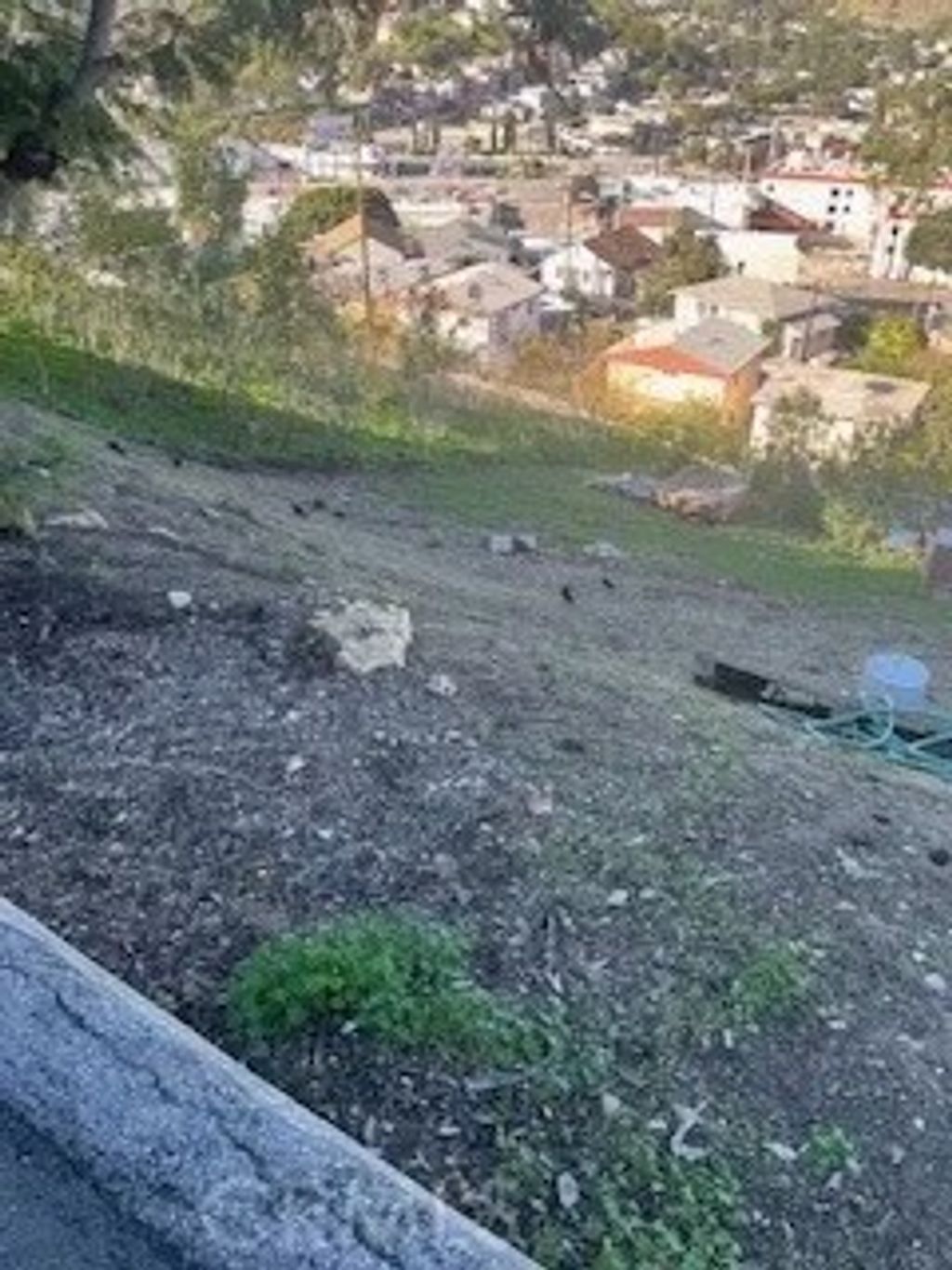 Photo of 3312 Kenneth, Los Angeles, CA 90032 (MLS # MB25267020)