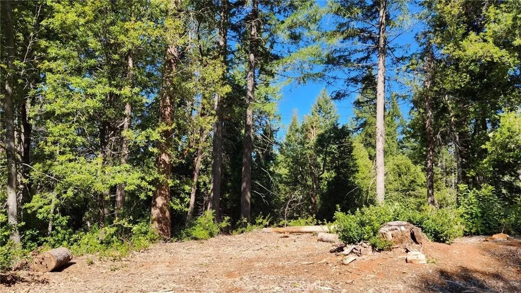 Photo of 11157 Breezy BLVD, Clipper Mills, CA 95930 (MLS # OR26172069)