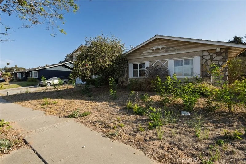 1136 Patterson