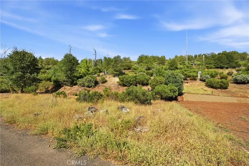 15250 Evergreen