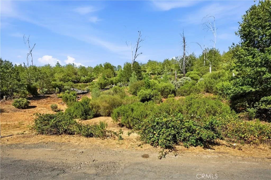 Photo of 15250 Evergreen DR, Cobb, CA 95426 (MLS # LC26174390)