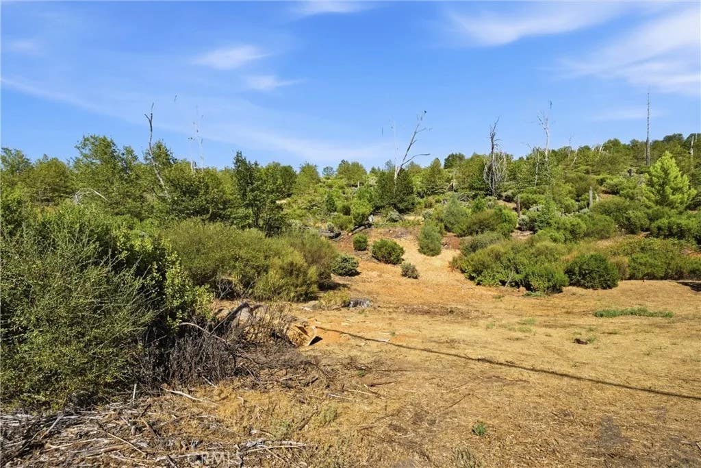 Photo of 15250 Evergreen DR, Cobb, CA 95426 (MLS # LC26174390)