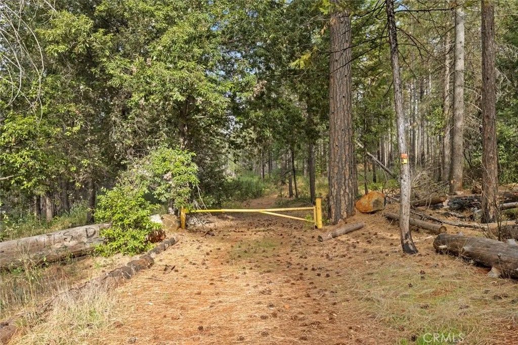 Photo of 0 Old Forbestown, Forbestown, CA 95941 (MLS # SN25271184)