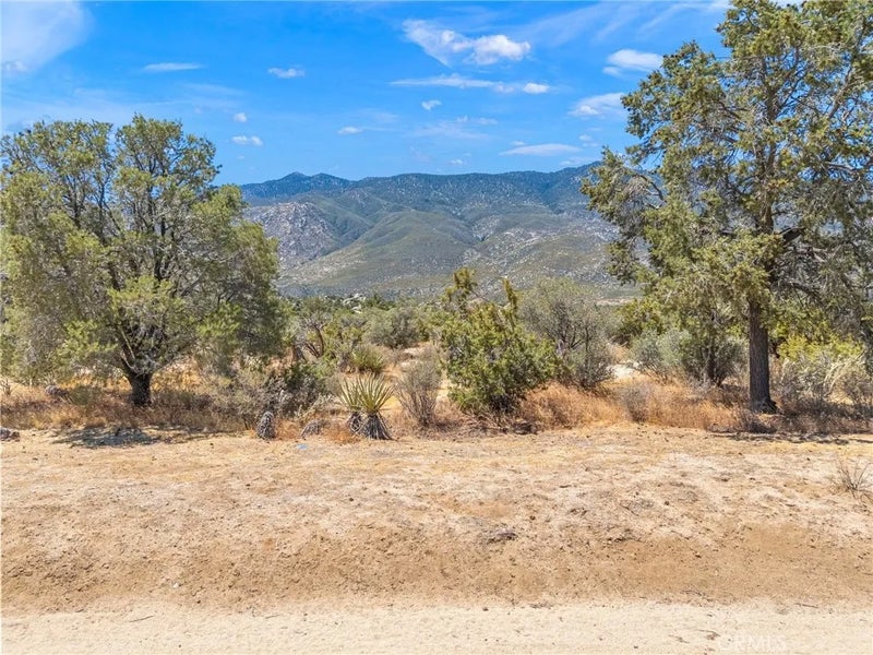 1 Sonora