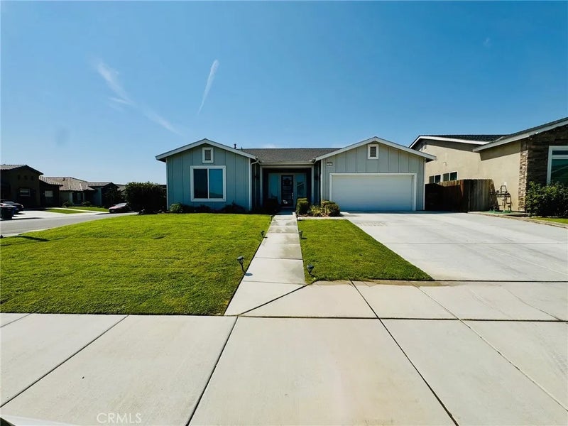 5803 Hawthorn Tree