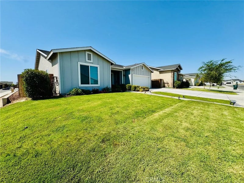 5803 Hawthorn Tree